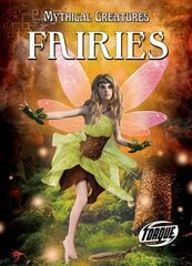 Fairies hind ja info | Noortekirjandus | kaup24.ee