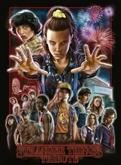 Stranger Things: Tribute цена и информация | Рассказы, новеллы | kaup24.ee