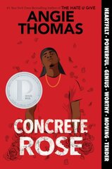 Concrete Rose цена и информация | Книги для подростков и молодежи | kaup24.ee