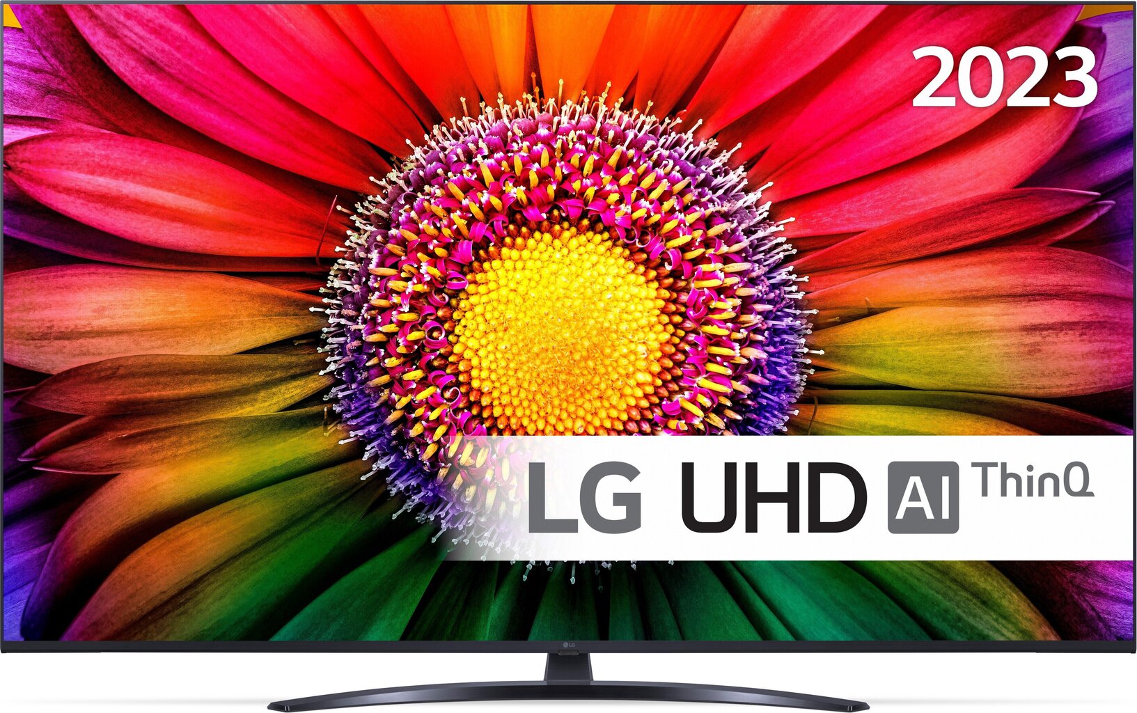 LG 55UR81003LJ.AEU цена и информация | Telerid | kaup24.ee