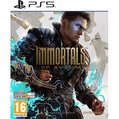 Immortals of Aveum, PlayStation 5 - Game цена и информация | Компьютерные игры | kaup24.ee