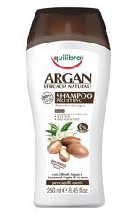 Защитный шампунь с аргановым маслом Equilibra Argan Protective 250 мл цена и информация | Шампуни | kaup24.ee