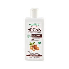 Kaitsev šampoon argaaniaõliga Equilibra Argan Protective 250 ml цена и информация | Шампуни | kaup24.ee