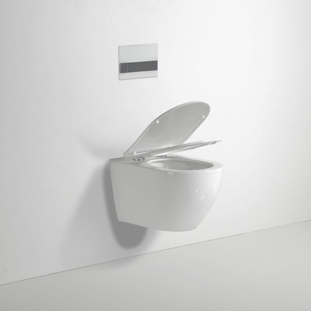 Royal Flush WC-pott Slim Soft Close kaanega The Dynamic Way 48 cm hind ja info | WС-potid | kaup24.ee