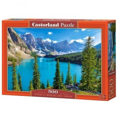 Pusle Castorland Moraine Lake, Canada 500 osa hind ja info | Pusled | kaup24.ee