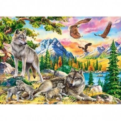 Pusle Castorland Wolf Family and Eagles 300 osa цена и информация | Pusled | kaup24.ee