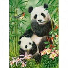 Pusle Castorland Panda Brunch 300 osa цена и информация | Пазлы | kaup24.ee