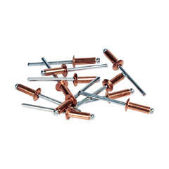 Needid Rapid 5001467 Puur Ø 4,8 x 12 mm (50 tk) hind ja info | Käsitööriistad | kaup24.ee