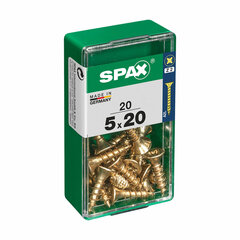 Kruvide karp Spax Yellox Puit Lame pea 20 tk (5 x 20 mm) hind ja info | Käsitööriistad | kaup24.ee