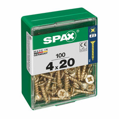 Kruvide karp Spax Yellox Puit Lame pea 100 tk (4 x 20 mm) hind ja info | Käsitööriistad | kaup24.ee