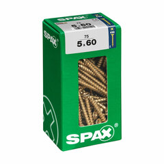 Kruvide karp Spax Puidukruvi Lame pea (5 x 60 mm) (5,0 x 60 mm) hind ja info | Käsitööriistad | kaup24.ee