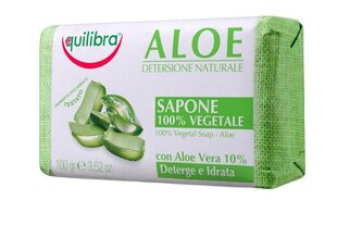 Мыло с экстрактом алоэ вера Equilibra Aloe Naturale 100% Vegetal 100 г цена и информация | Мыло | kaup24.ee