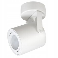 Pinnalamp "Led-one", 50W цена и информация | Настенные светильники | kaup24.ee