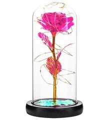 Igavene roos roosast LED-klaasist hind ja info | Uinuvad roosid, taimed | kaup24.ee