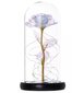 LED valgest klaasist igavene roos цена и информация | Uinuvad roosid, taimed | kaup24.ee