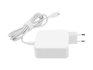 USB type C USB-C, 65 W (white) цена и информация | Зарядные устройства для ноутбуков  | kaup24.ee