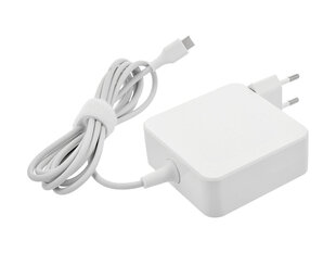 USB type C USB-C, 65 W (white) цена и информация | Зарядные устройства для ноутбуков  | kaup24.ee