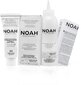 Püsivärv juustele Noah 8.0 Light Blond 140 ml hind ja info | Juuksevärvid | kaup24.ee