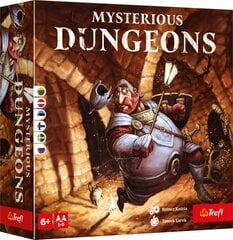 Настольная игра Trefl Mysterious Dungeons цена и информация | Настольные игры | kaup24.ee