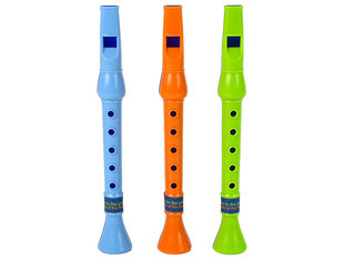 Набор из трех детских флейт цена и информация | Развивающие игрушки и игры | kaup24.ee