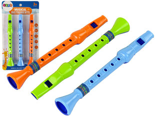 Набор из трех детских флейт цена и информация | Развивающие игрушки | kaup24.ee
