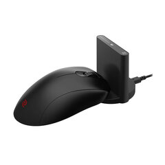 BenQ Zowie EC2-CW цена и информация | Мыши | kaup24.ee