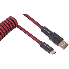 Keychron Premium Coiled Type-C Cable, Red цена и информация | Клавиатура с игровой мышью 3GO COMBODRILEW2 USB ES | kaup24.ee