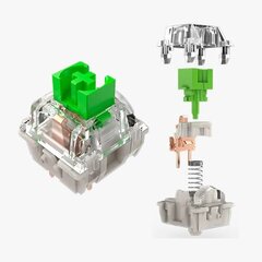 Razer Green Switches X 36 hind ja info | Klaviatuurid | kaup24.ee