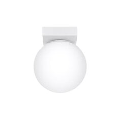 Sollux потолочный светильник Yoli 1 цена и информация | Потолочные светильники | kaup24.ee