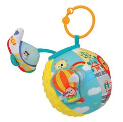 Pehme sensoorne pall WinFun цена и информация | Игрушки для малышей | kaup24.ee