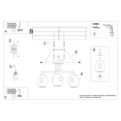 Sollux Lighting потолочный светильник Fillan цена и информация | Потолочные светильники | kaup24.ee