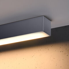Sollux потолочный светильник Pinne 200 цена и информация | Потолочные светильники | kaup24.ee