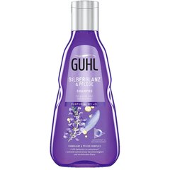 Šampoon Guhl Silver Gloss & Care Shampoo, 250ml цена и информация | Шампуни | kaup24.ee