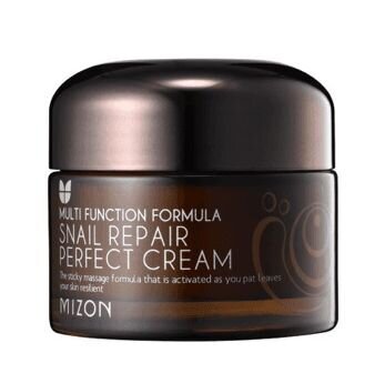 Näokreem Mizon Snail Repair Perfect Cream, 50ml hind ja info | Näokreemid | kaup24.ee