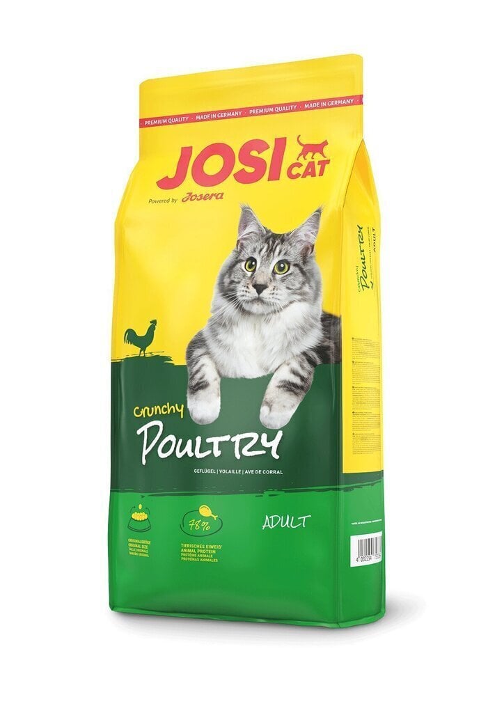 Josera JosiCat Crunchy Chicken täiskasvanud kassidele koos krõbeda linnulihaga, 1,9 kg hind ja info | Kuivtoit kassidele | kaup24.ee