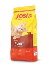 Josera JosiCat Tasty Beef täiskasvanud kassidele koos veiselihaga, 1,9 kg цена и информация | Сухой корм для кошек | kaup24.ee