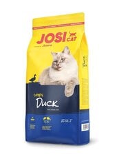 Josera JosiCat Crispy Duck täiskasvanud kassidele koos krõbeda pardiga, 1,9 kg цена и информация | Сухой корм для кошек | kaup24.ee