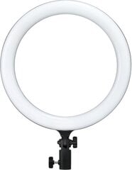 Godox LR120 цена и информация | Осветительное оборудование для фотосъемок | kaup24.ee