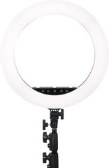 Beiwe Halo H18Rgb hind ja info | Fotovalgustuse seadmed | kaup24.ee