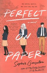 Perfect on Paper hind ja info | Noortekirjandus | kaup24.ee