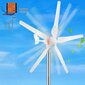 Horisontaalteljeline tuulegeneraator Vevor 12V 300W hind ja info | Generaatorid | kaup24.ee