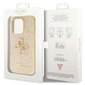 Guess Glitter Script Big 4G Case GUHCP14LHG4SGD цена и информация | Telefoni kaaned, ümbrised | kaup24.ee