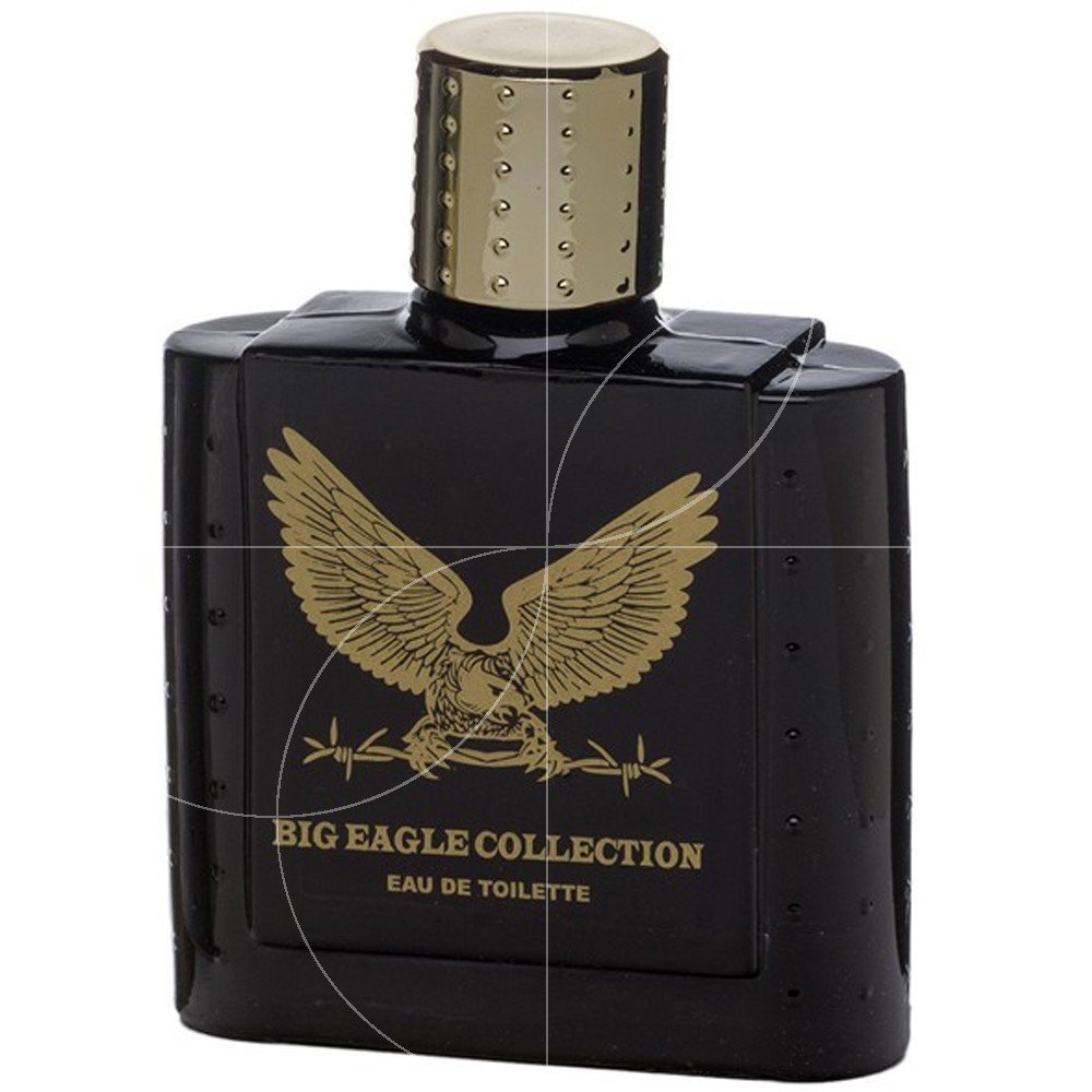 Tualettvesi Real Time Big Eagle Collection EDT meestele 100 ml цена и информация | Meeste parfüümid | kaup24.ee
