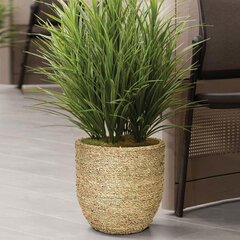 Lillepott Grassy, 27x26cm hind ja info | Dekoratiivsed lillepotid | kaup24.ee