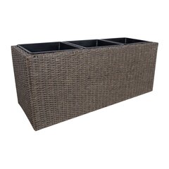 Lillepott Wicker, 110x39x45cm hind ja info | Dekoratiivsed lillepotid | kaup24.ee