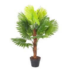 Зеленое растение FAN PALM, H100cm цена и информация | Искусственные цветы | kaup24.ee