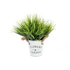 Roheline taim IN GARDEN D20xH25cm, rohulibled, plekkpott D10xH10cm, köiest sang hind ja info | Kunstlilled | kaup24.ee