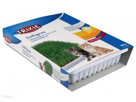 Натуральная трава для кошек Trixie, 100 г цена и информация | Витамины, пищевые добавки и товары от паразитов | kaup24.ee