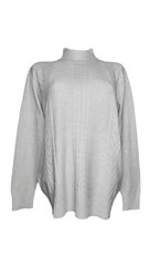Женский серый свитер с высоким воротником цена и информация | Женские кофты | kaup24.ee