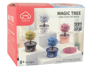 Magic Tree Magic Tree, roosa hind ja info | Arendavad mänguasjad | kaup24.ee